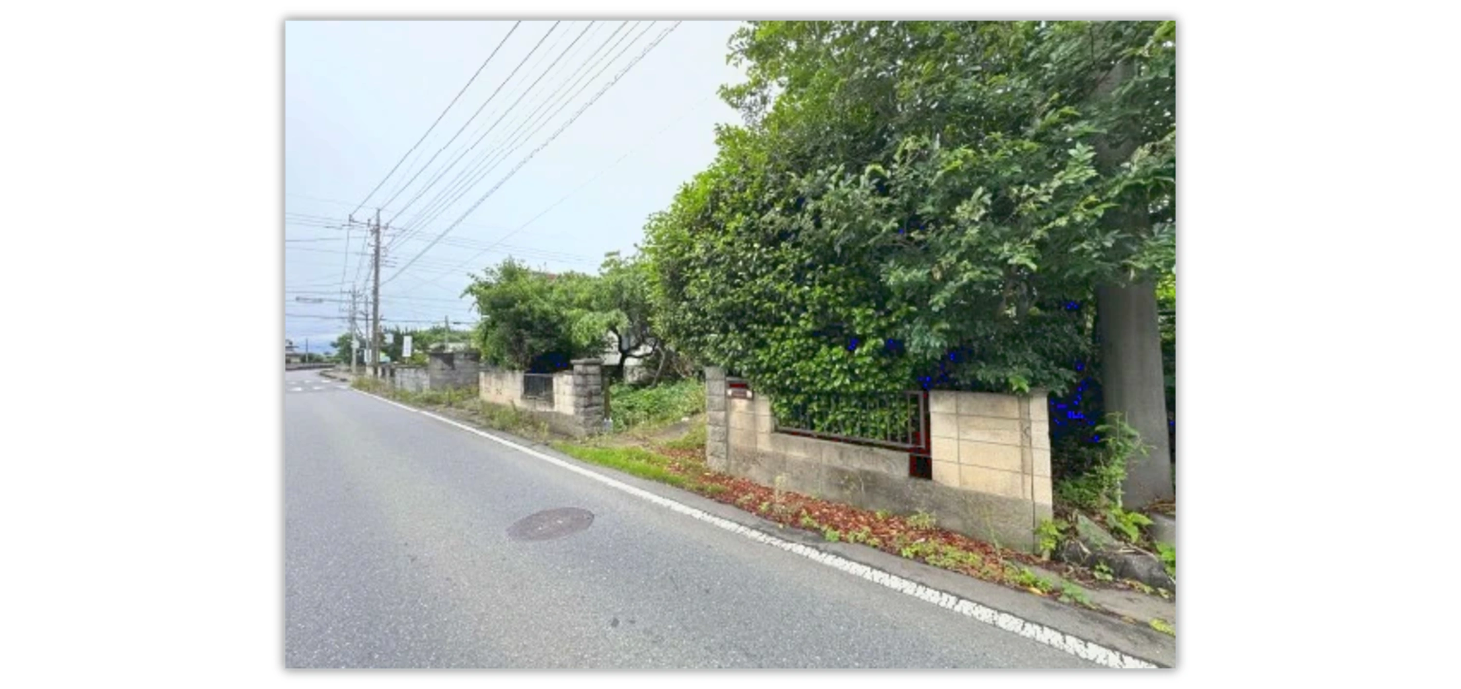土地（柏合622-3　他1筆）の物件写真 1