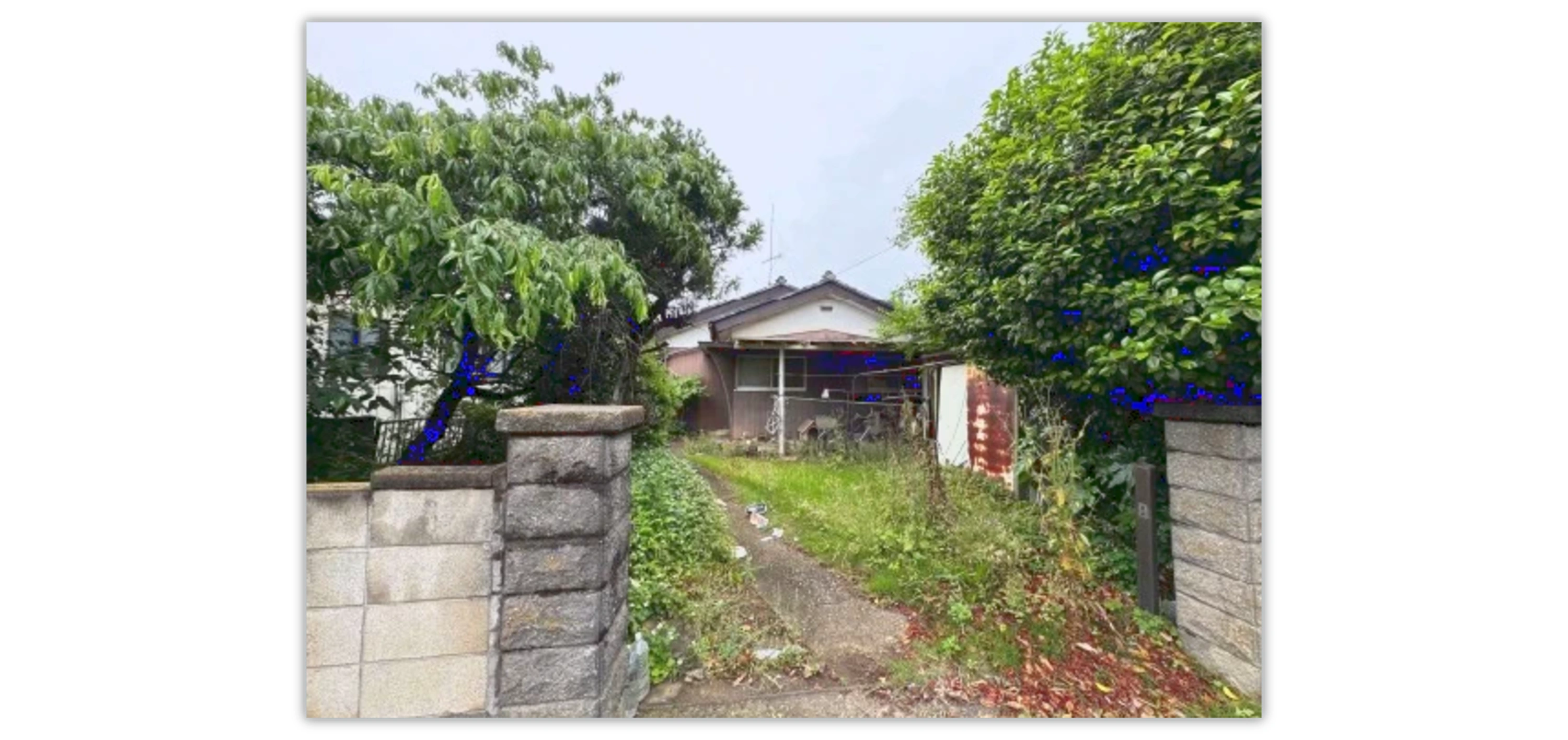 土地（柏合622-3　他1筆）の物件写真 4