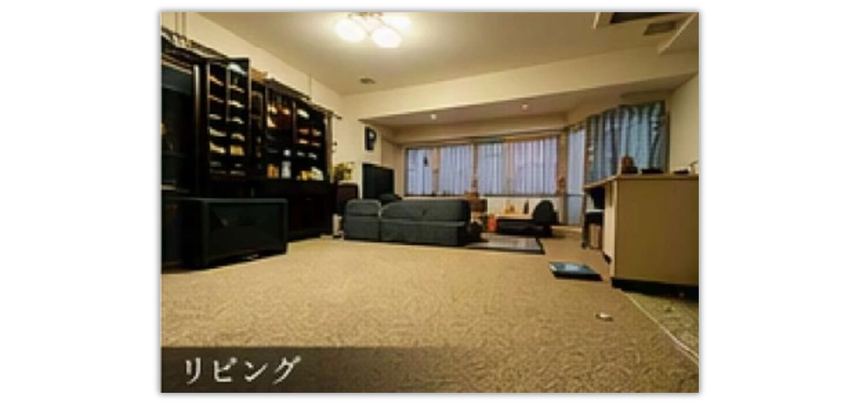 ダイアパレス富士忍野 A棟の物件写真 2