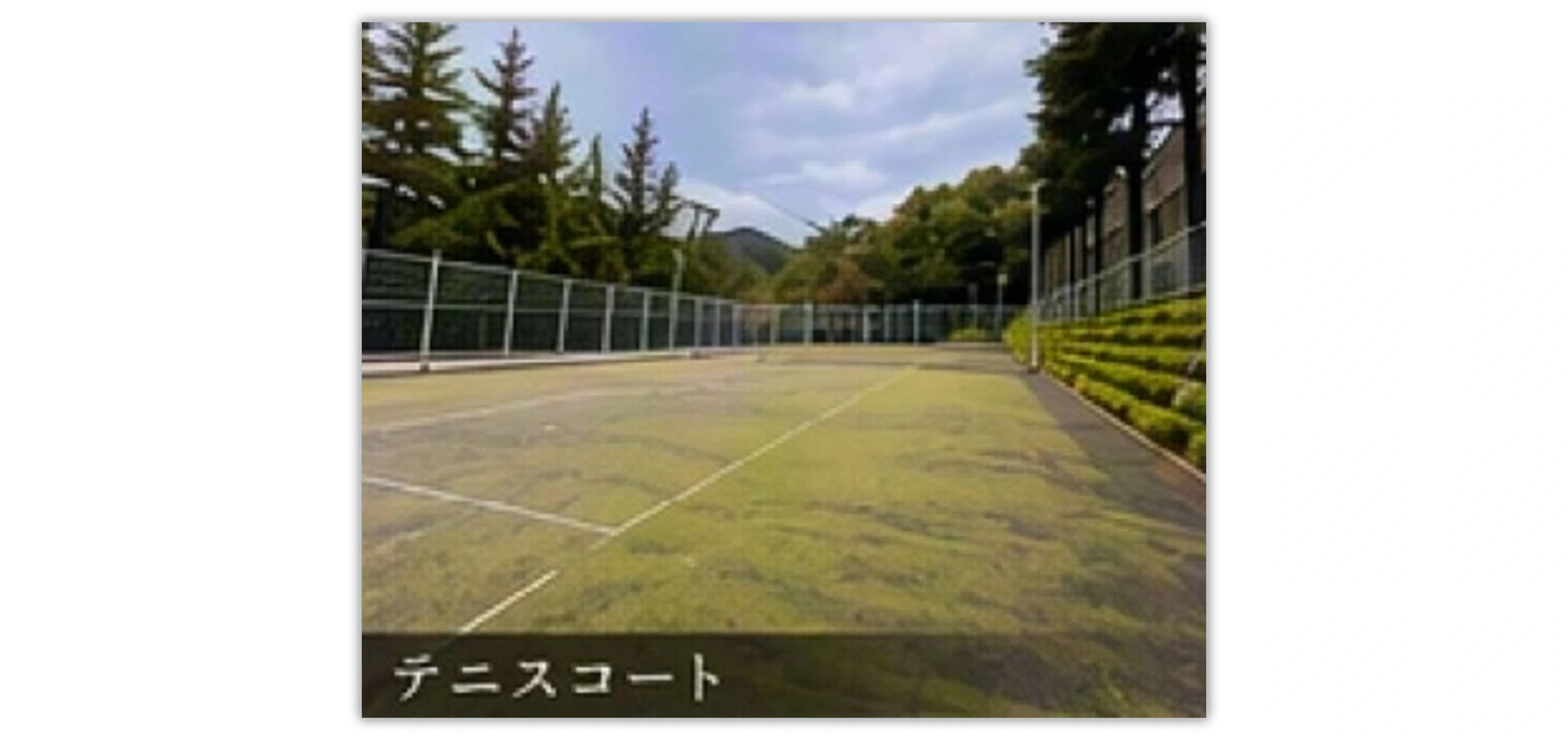 ダイアパレス富士忍野 A棟の物件写真 5